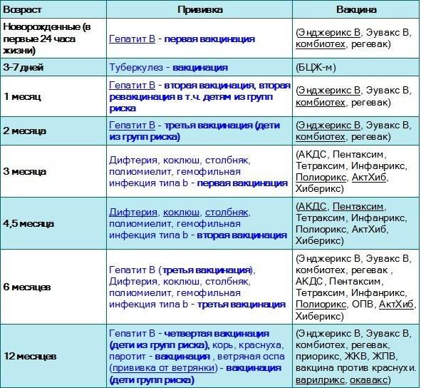 календарь прививок РФ