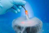Криобанк: инновационные технологии в репродуктивной медицине