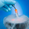 Криобанк: инновационные технологии в репродуктивной медицине