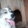 IMG_20150628_205022.jpg