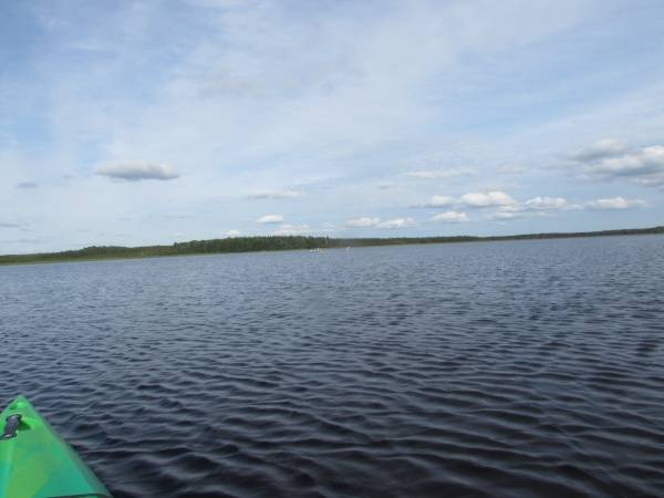 И снова лето, снова Березинский заповедник, но уже заповедные озера и каналы:)